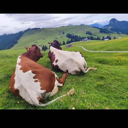 Almhuette Bairau Kaser Chalet *