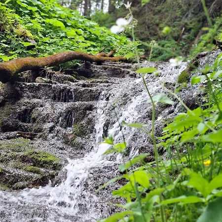 Alpesi faház Almhuette Bairau Kaser Lofer